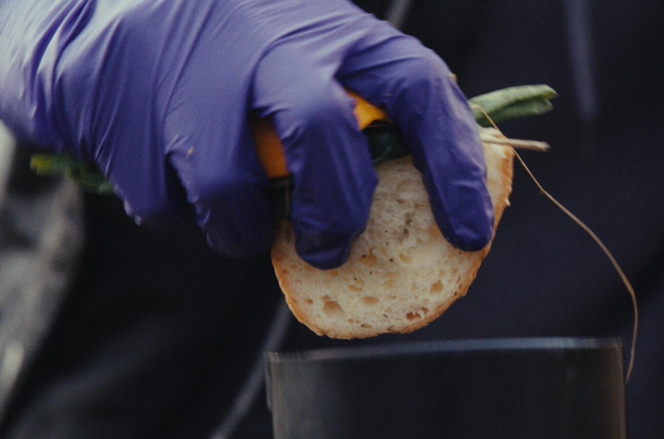 BioFlare Is Changing The Game BioFlare device turns food waste into cooking gas