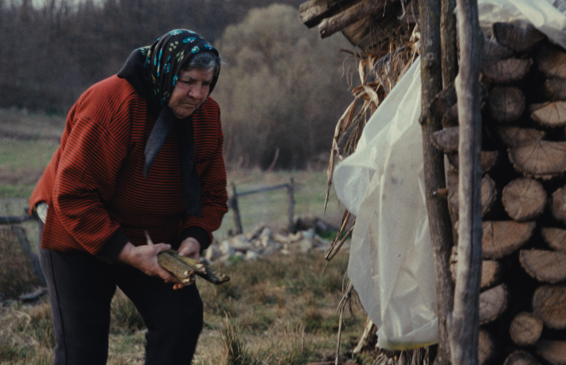 The BioFlare Problem Billions Struggle to Cook with Clean, Affordable Energy